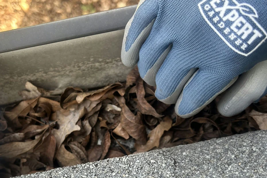 Gutter Cleaning Naples FL