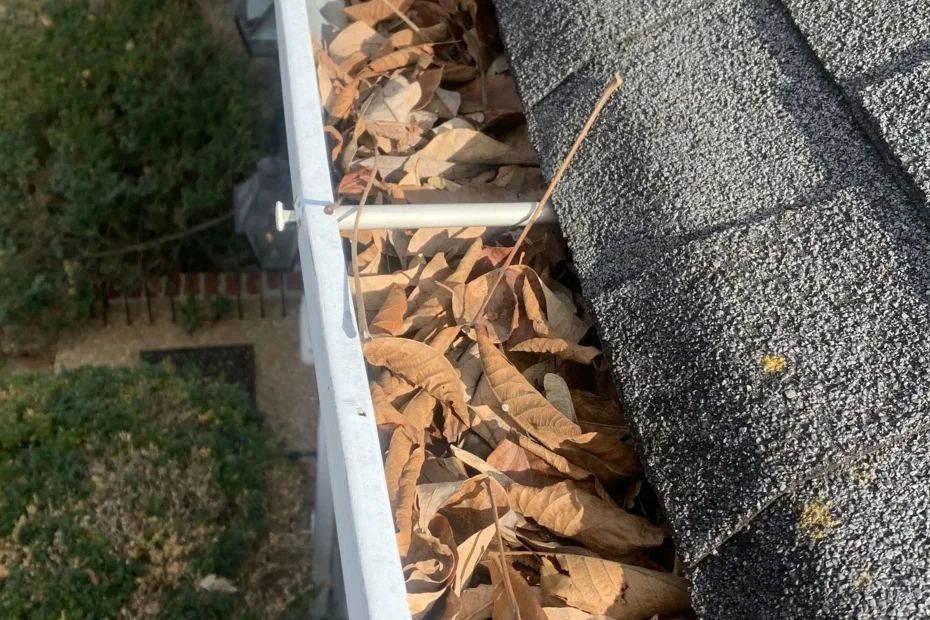 Gutter Cleaning Naples FL